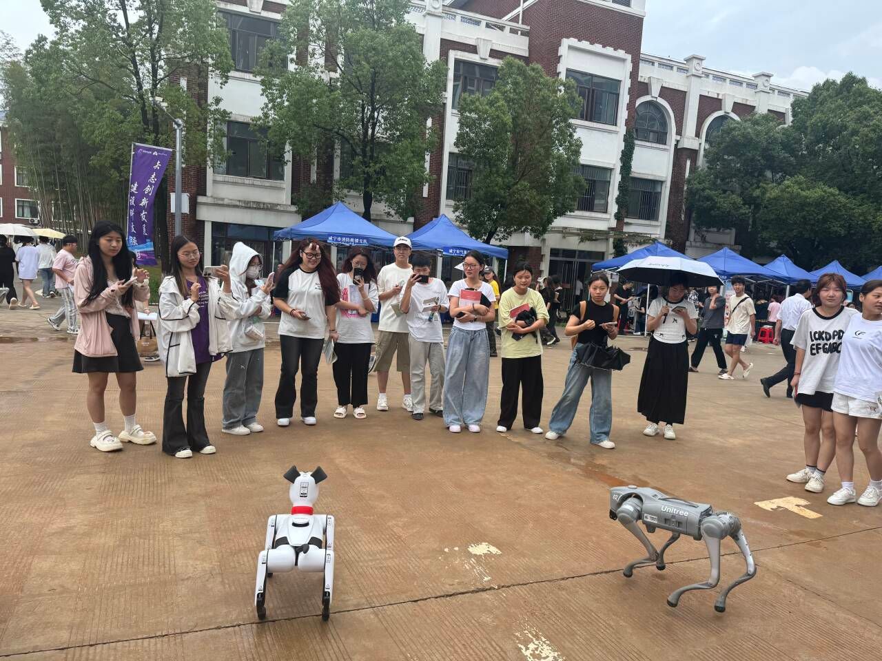 6fc4a.jpg